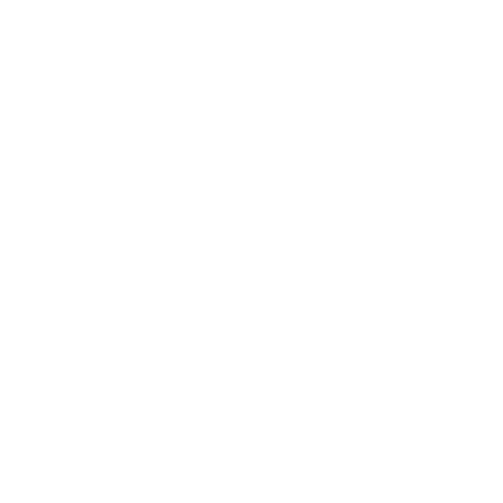 AdvicePay-Icon-Shield-2-White-PNG