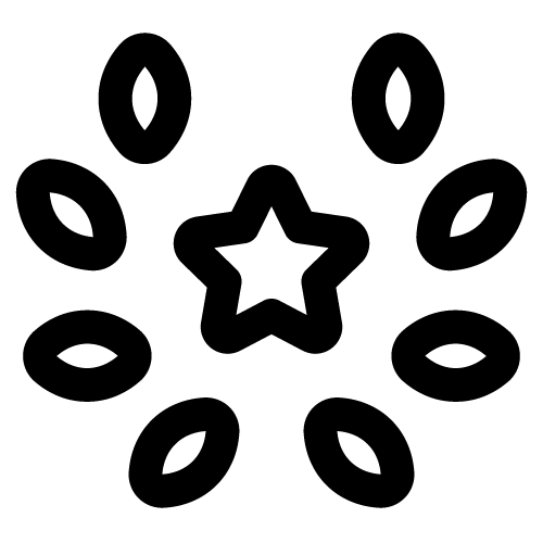 AdvicePay-Icon-StarWreath-1-Black-PNG